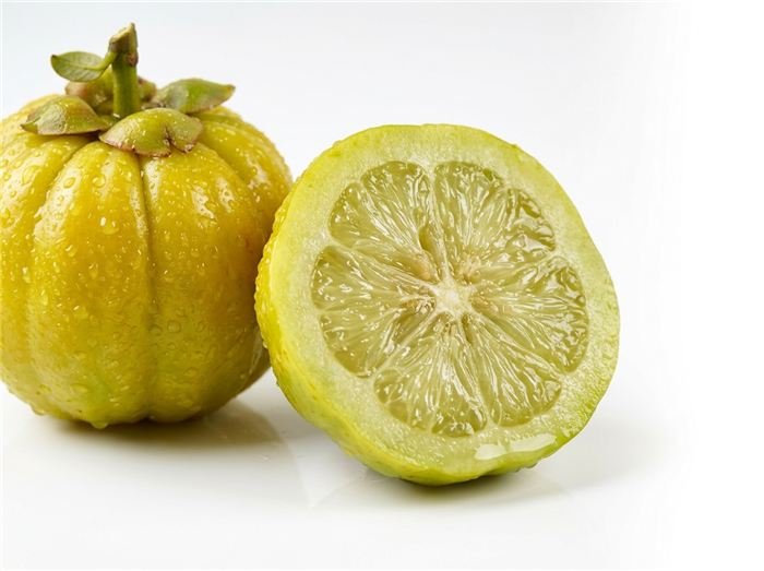 Garcinia-cambogia-Brindleberry-Frucht, die in den Hinuki Jelly-Sticks verwendet wird